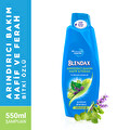 Blendax Bitki Özlü Şampuan 550 ml