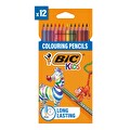 Bic Kuru Boya Kalemi 12'Li