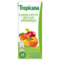 Tropicana Anadolu Karışık Meyve Nektarı Tetra 200 ml