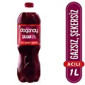 Doğanay Şalgam Suyu Acılı 1000 ml