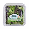 Karışık Akdeniz Salata 150 g Adet