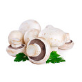 Mantar Izgaralık 1000 g