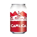 Çamlıca Gazoz Kutu 250 ml