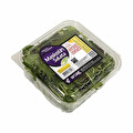 Salata Maskolin Adet