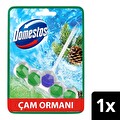 Domestos Tuvalet Bloğu Çam Ormanı 50 G