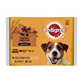 Pedigree Multipack Biftek & Kuzu - Hindi & Havuç Köpek Poşet Köpek Maması 4x100 Gr