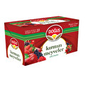 Doğuş Kırmızı Meyveler 20*2G