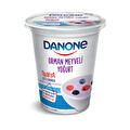 Danone Meyveli Yoğurt Orman 450 g