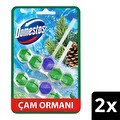 Domestos Tuvalet Bloğu Çam Ormanı 100 G