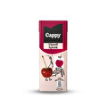 Cappy Vişneli Meyve Suyu Karton Kutu 200 ml