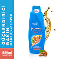 Blendax Badem Yağı Özlü Şampuan 550 ml