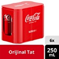 Coca-Cola 6X250 ml Kutu