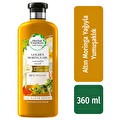 Herbal Essences Altın Moringa Yağı Saç Bakım Kremi 360 ml