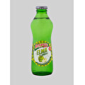 Beypazarı Elma Aromalı Maden Suyu 200 ml