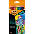 Bic Color Up Üçgen Kuru Boya Kalemi 12'Li