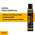 Syoss Fresh & Uplıft Köpük Kuru Şampuan