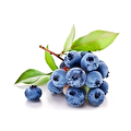 Yaban Mersini Blueberry 125 g