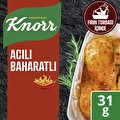 Knorr Fırında Tavuk Çeşnisi Acılı Baharatlı 31 g