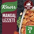 Knorr Fırında Tavuk Çeşnisi Mangal Lezzeti 29 g