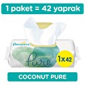 Prima Pampers Coconut Pure Islak Havlu 42'li