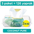 Prima Pampers Coconut Pure Islak Havlu 3x42 adet