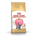 Royal Canin British Shorthair için Yavru Kedi Maması 2 kg