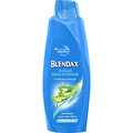 Blendax Aloe Vera Şampuan 500 ml