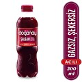Doğanay Acılı Şalgam Suyu 300 ml
