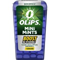 Olips Mini Mints Nane Okaliptus 12.5 g