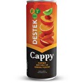 Cappy Destek Kutu 250 ml