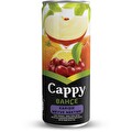 Cappy Karışık Kutu 250 ml