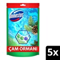 Domestos Tuvalet Bloğu Çam Ormanı 5'Li Güç 250 g