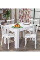 Arda / Violet Mutfak Masa Takımı 4 Sandalye 1 Masa - Beyaz