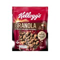 Kellogg's Çikolata Parçacıklı ve Fındıklı Granola 250 g