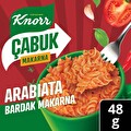 Knorr Çabuk Makarna Arabiata 48 g