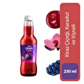 Sırma Karma Karadut 250 ml