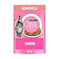 Purina One Yavru Somonlu Yaş Kedi Maması 85 g