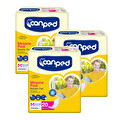Canped Mesane Pedi Normal 60'Lı