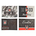 Beşiktaş Resim Defteri Spiralli Karton Kapaklı 24X34 cm  15Yaprak