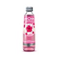 Avoya Blend Hibiskus Meyveli Maden Suyu 250 ml