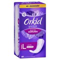 Orkid Günlük Ped Uzun 40'Lı