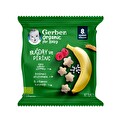 Gerber Organik Muz ve Ahududulu Bebek Atıştırmalığı 7 g