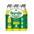 Beyoğlu Limonlu Naneli Doğal Mineralli Gazlı İçecek 6X250 ml