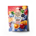 Dovido Berry Mix 100 g