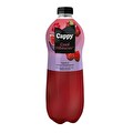  Cappy Cool Hibiscus 1 L