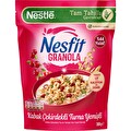 Nesfit Kabak Çekirdekli&Turna Yemişli Granola 300 g