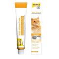 Gimcat Multivitamin Kedi Macunu 20 gr