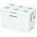 Icepeak Coolcraft 46 Buzluk 46 Litre Beyaz