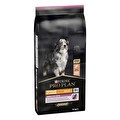Pro Plan Orta ve Büyük Irk 7 Yaş Üzeri Köpekler için Somonlu Köpek Maması 14 Kg