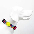 Tailpetz Spırıt Boyun Tasması Small